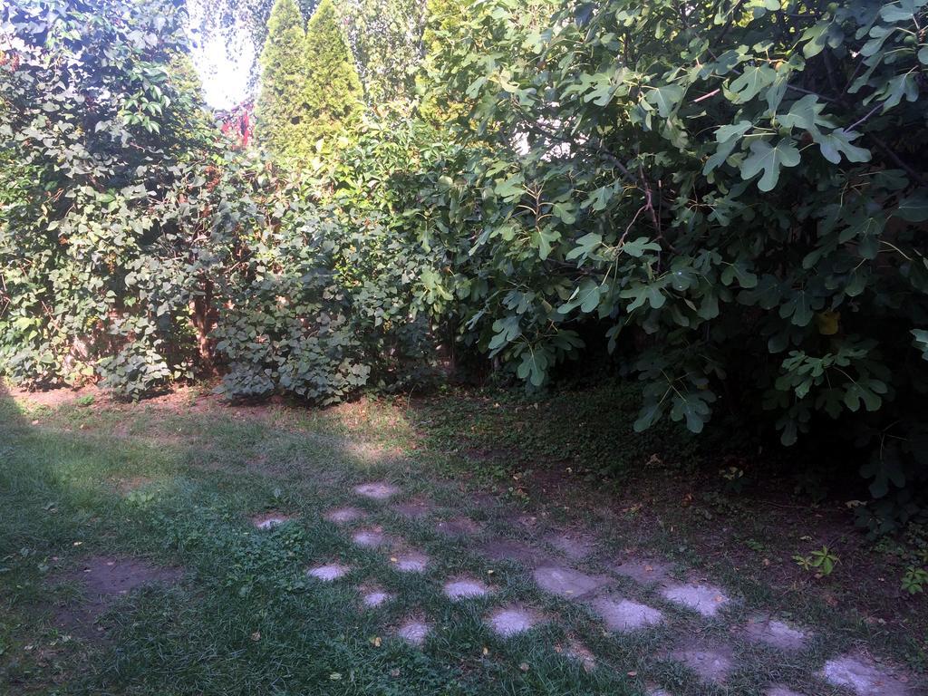 Rosmarinus Apartman Peçuy Dış mekan fotoğraf